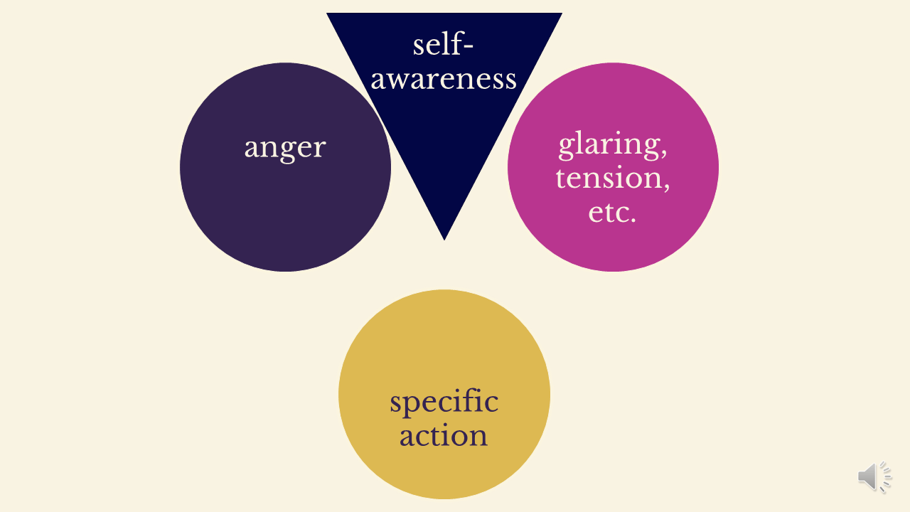 A blue triangle labelled "self-awareness" has pushed the purple circle ("anger") and the pink circle ("glaring, tension, etc.") apart. It also pushed the yellow circle ("specific action") down. 