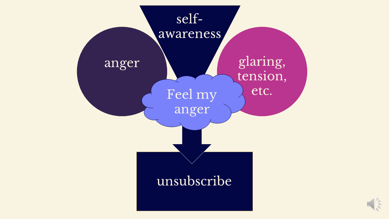 A blue triangle labelled "self-awareness" has pushed the purple circle ("anger") and the pink circle ("glaring, tension, etc.") apart. A light blue cloud with the words "feel my anger" covers the tip of the triangle. A navy arrow points down to a blue square with the words "unsubscribe".
