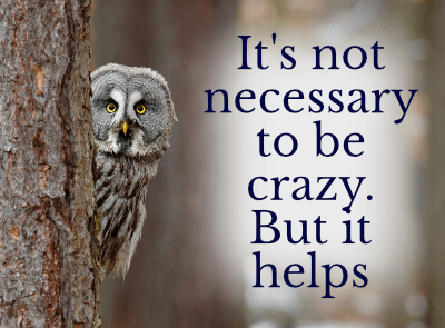 An owl peeks around a tree. On the right are the words: "It's not necessary to be crazy. But it helps.