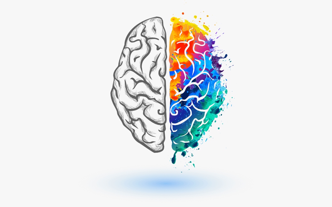 A brain. Left hemisphere is plain, right hemisphere is brightly coloured in.