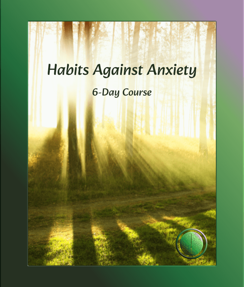 Habits Against Anxiety course.
