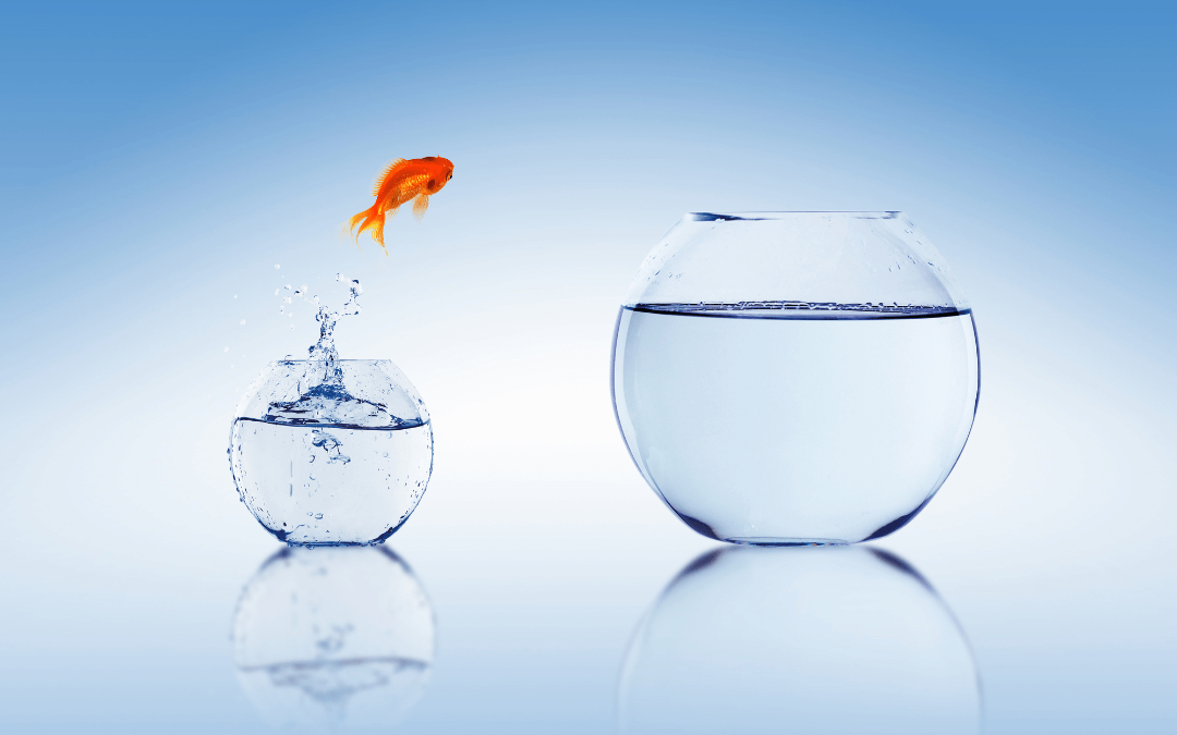 Goldfish jumps out of a tiny bowl into a big bowl with water. 