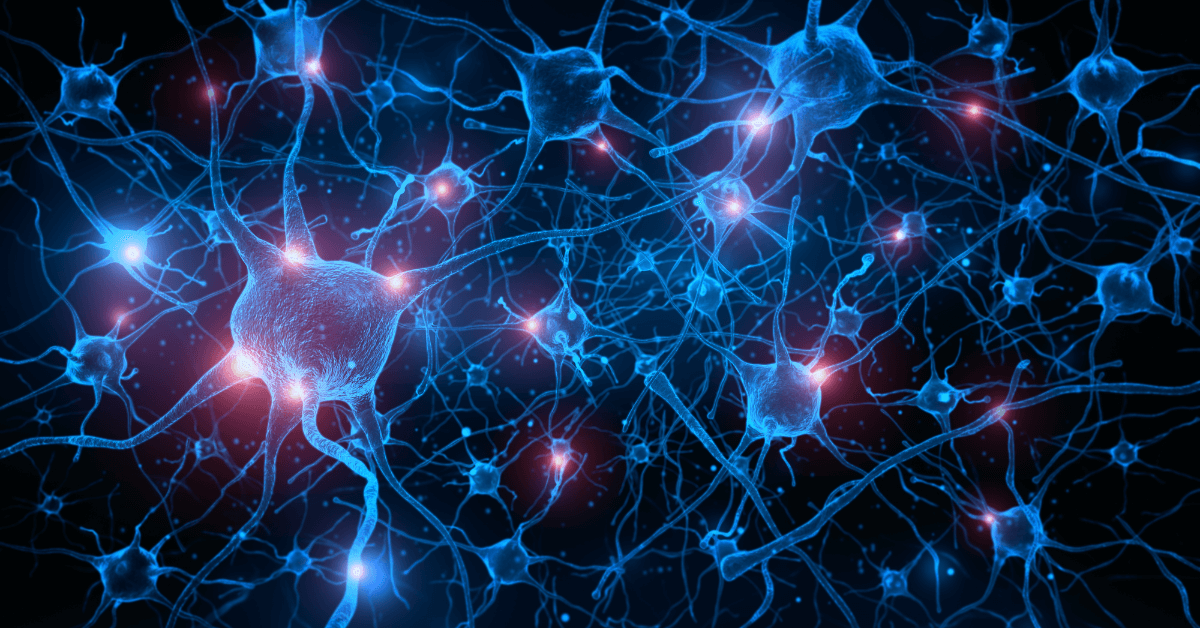 The mind: Neurons and the connections between them.